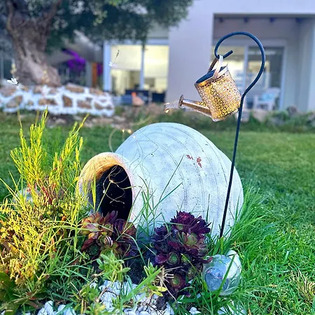 Sunrise * Kassandria